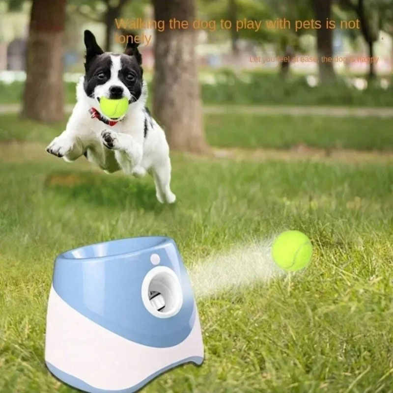 Dog Launcher Automatic Dogs Ch - Catapult Launcher Toy 评论和价格