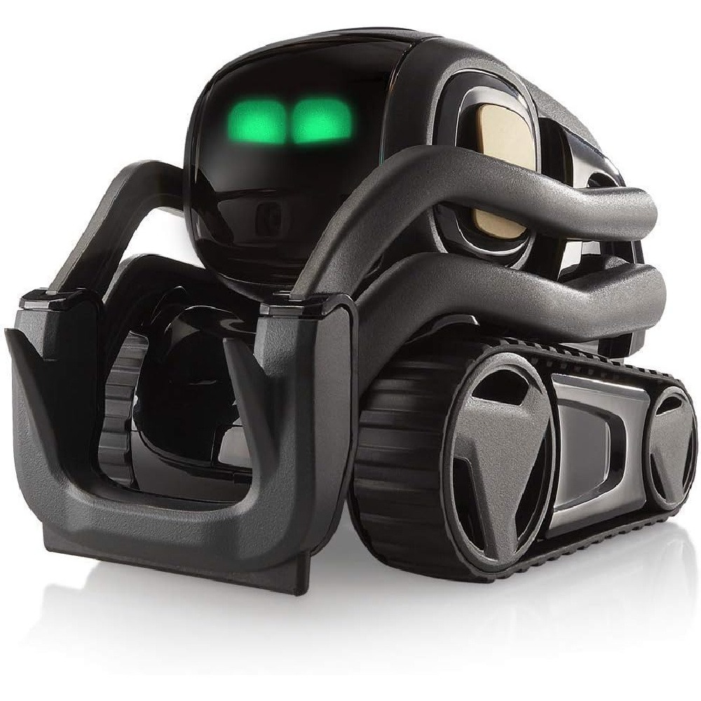 AI ChatGPT 2.0 Connected Robot - Kids Toys Bag 评论和价格