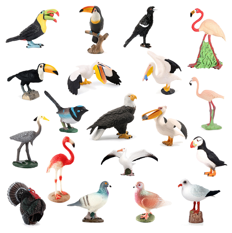 Bald Eagle pelican Tucan Turke - Kids Toys Under 200 评论和价格