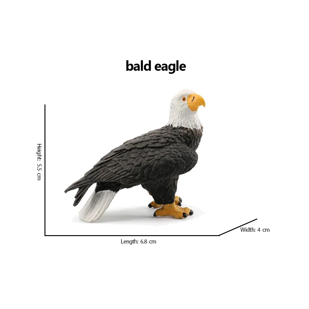 Bald Eagle pelican Tucan Turke - Kids Toys Under 200 评论和价格