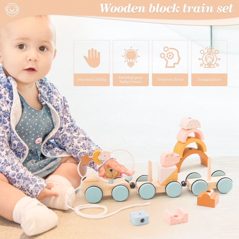 Wooden Montessori Toys Animal  - Wooden Blocks Stacking 评论和价格